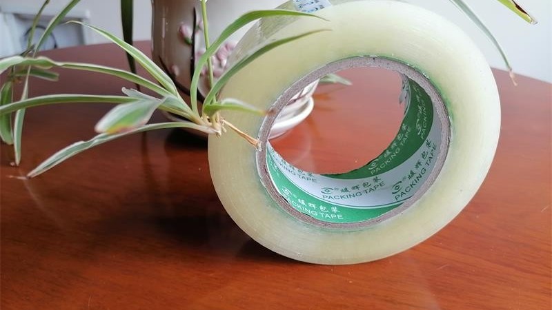正确选择水蜜桃在线免费视频供应商，为您节约15%包装成本